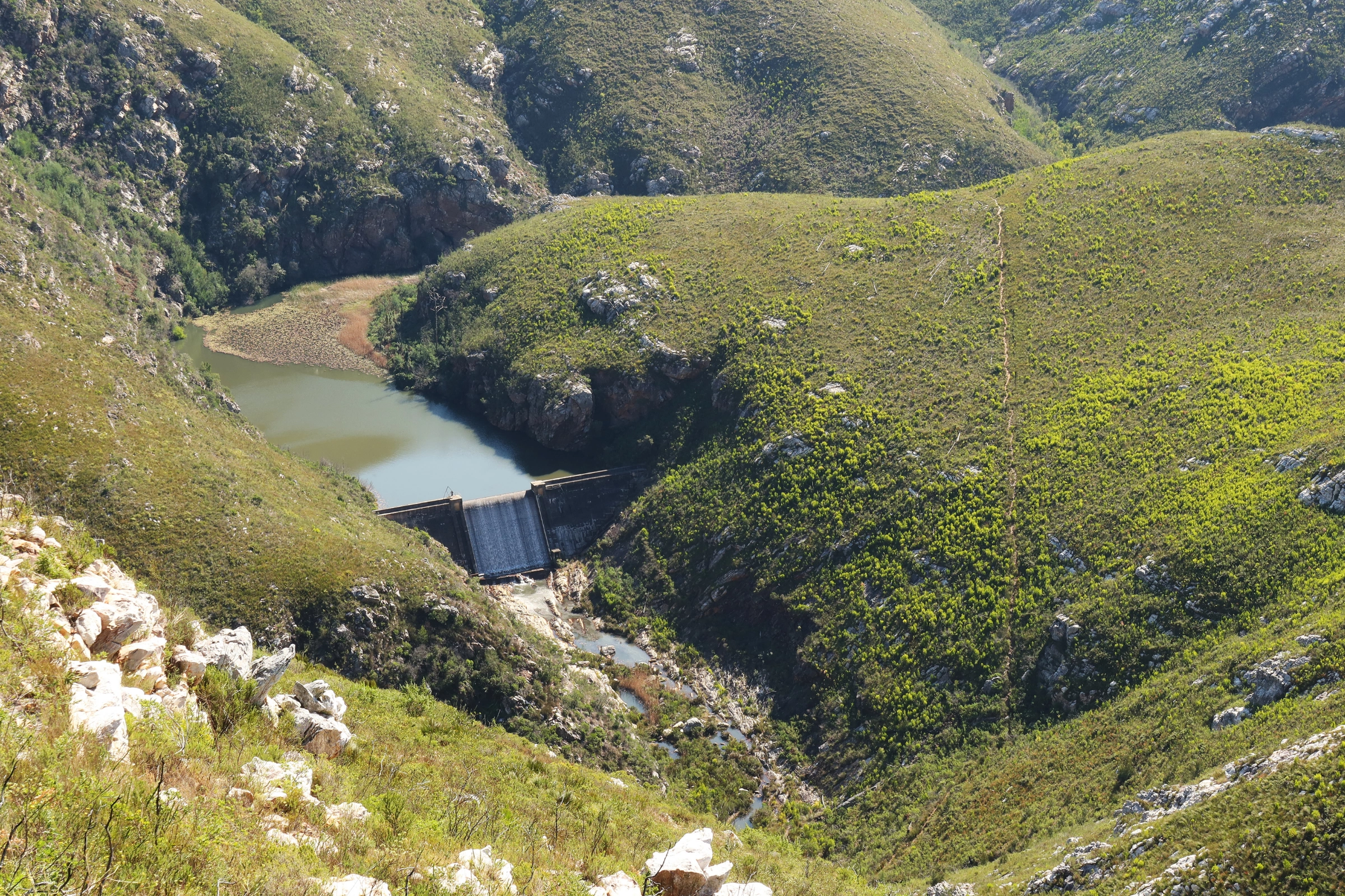 Gqeberha[1].webp